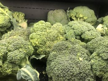 Full frame shot of plants