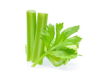 Close-up of leaf against white background