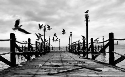 View of birds perching on pier over sea against sky