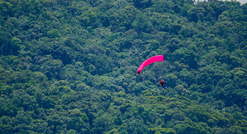 Person paragliding against trees in forest