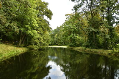 Scenic view of lake in forest against sky