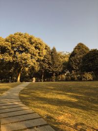 Footpath in park