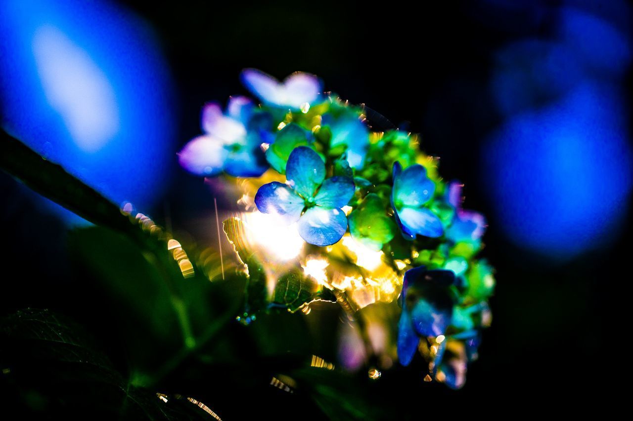 CLOSE-UP OF BLUE ILLUMINATED LIGHTS