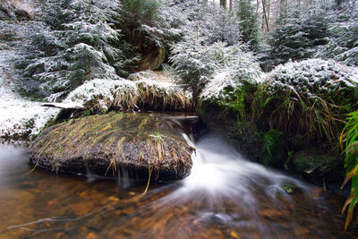 Small waterfall in forest