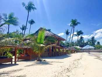 Palm trees on beach against sky