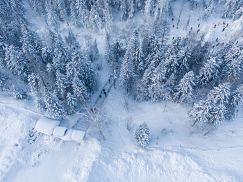 High angle view of snow covered trees on field