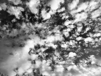 Low angle view of tree against sky