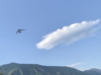 Low angle view of bird flying in sky