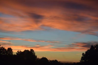 Low angle view of silhouette trees against orange sky