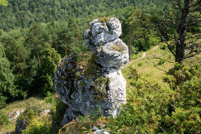 Stack of rocks in forest