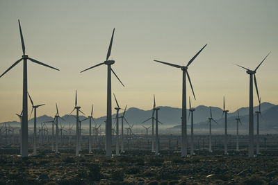 Windmills on field against sky during sunset