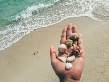 Baby hand holding sand on beach