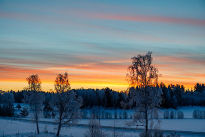 Trees on snow covered landscape during sunset