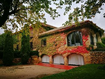 Exterior of old building by trees against sky
