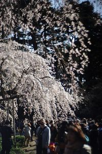 large group of people