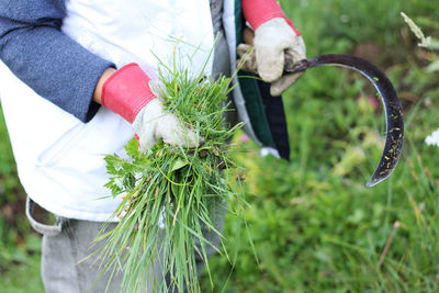 Close-up of hand holding plant on field