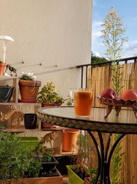 Potted plants on table in balcony