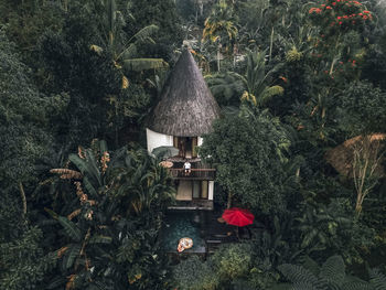 View of flowering plants in garden