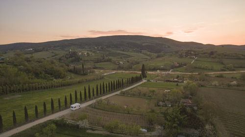 Scenic view of agricultural field against sky during sunset