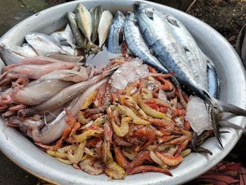 High angle view of fish in plate