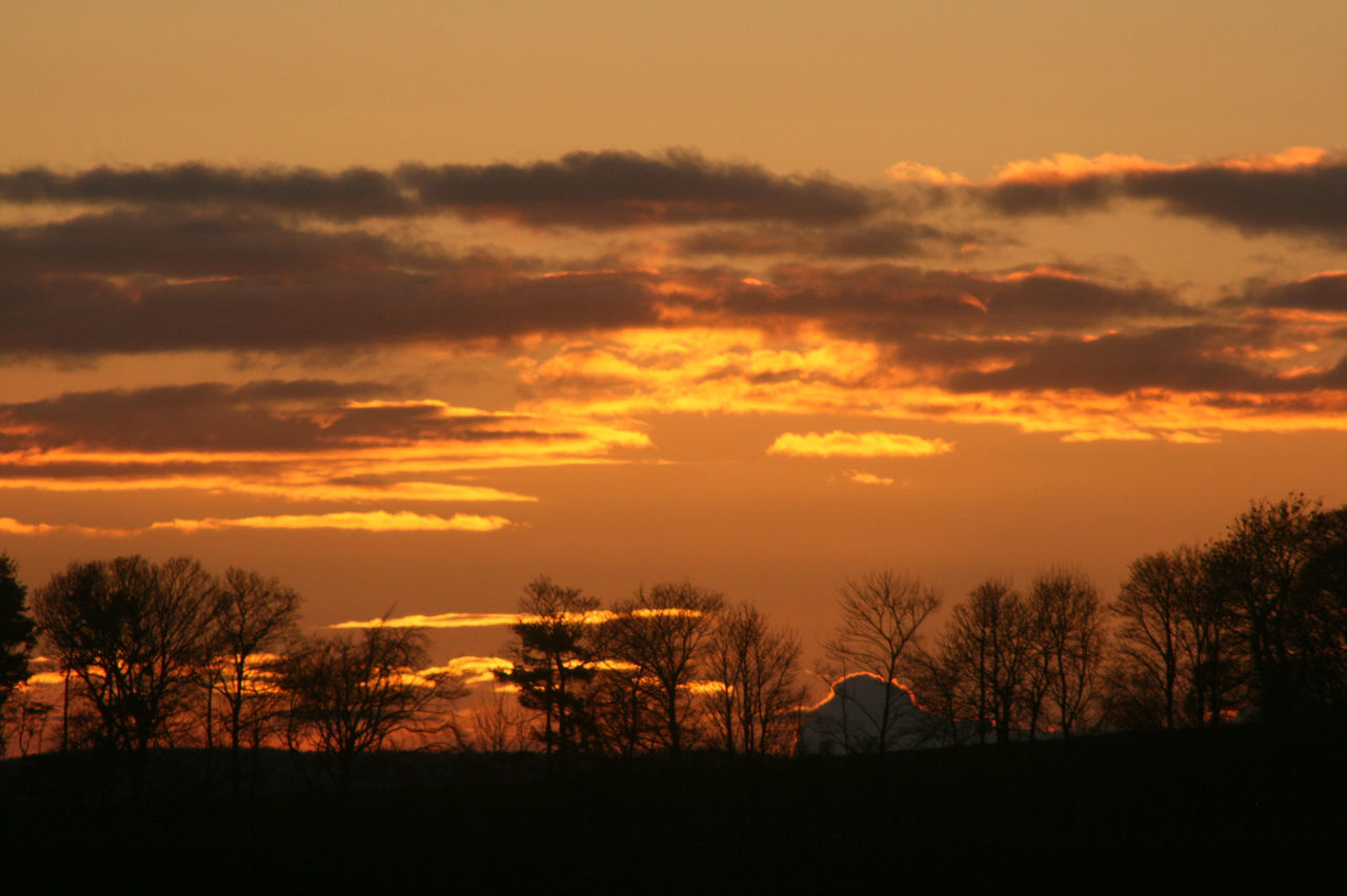 sunset, silhouette, orange color, tree, sky, scenics, tranquility, beauty in nature, tranquil scene, nature, idyllic, cloud - sky, landscape, outdoors, dramatic sky, bare tree, cloud, no people, field, non-urban scene