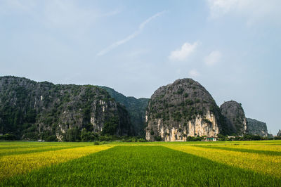 Scenic view of field against sky