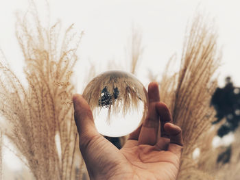 Close-up of hand holding crystal ball against trees