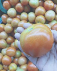 Close-up of food