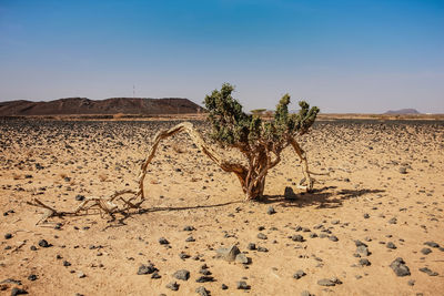 View of desert against clear sky