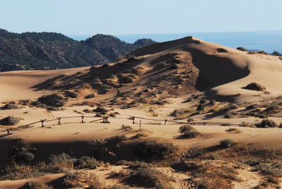 Scenic view of landscape against clear sky