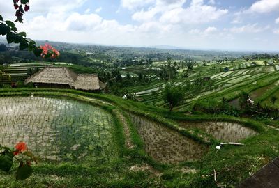 Scenic view of landscape against sky