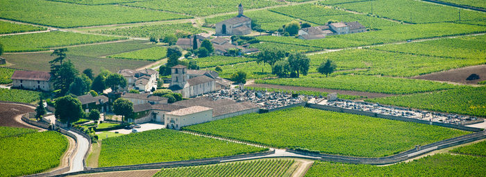 High angle view of agricultural field