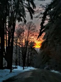 Silhouette trees on snow covered landscape