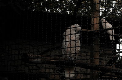 View of an abandoned and fence against building