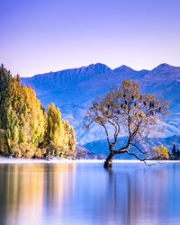 Scenic view of lake and mountains against clear sky