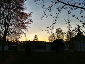 Low angle view of silhouette trees and buildings against sky