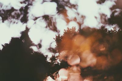 Trees growing against sky