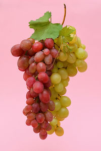Close-up of grapes against white background