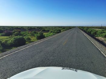 Road amidst trees against clear blue sky