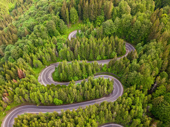 High angle view of winding road amidst trees in forest