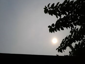 Low angle view of silhouette tree against sky during sunset