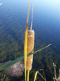 Scenic view of lake