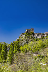 Trees and buildings against clear blue sky