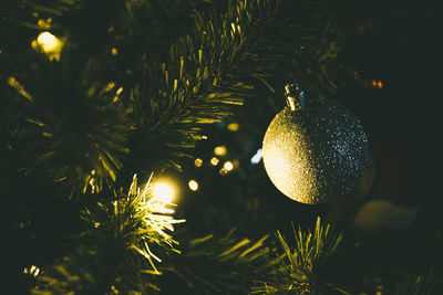 Close-up of christmas tree