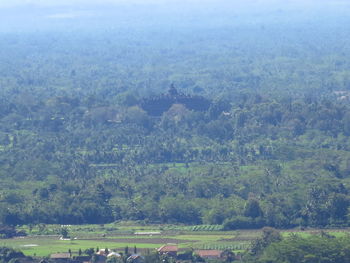 High angle view of a field