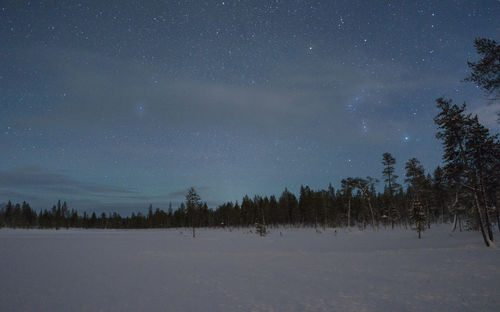 Trees on snow covered land against sky at night