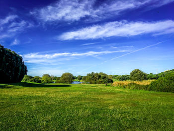 Scenic view of field against sky