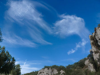 Low angle view of trees against blue sky