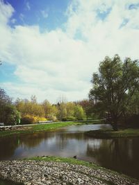 Scenic view of lake by trees against sky