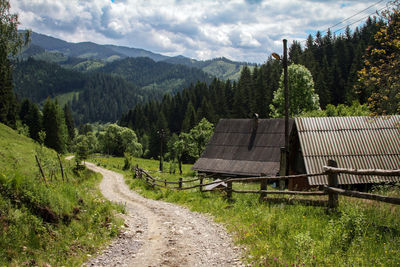 Dirt road amidst trees in forest against sky